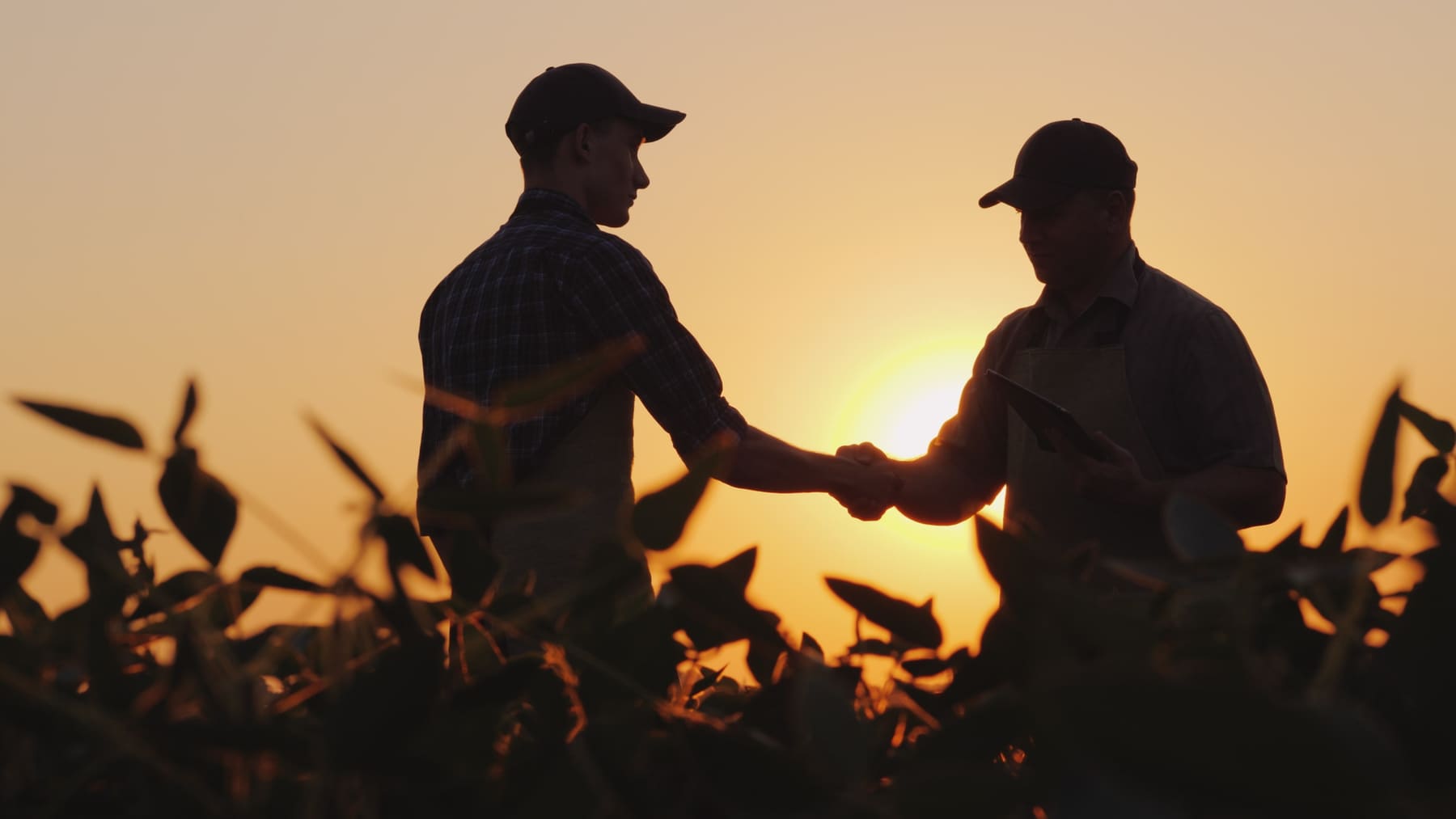 Two farmers shaking hands beside their equipment at sunset